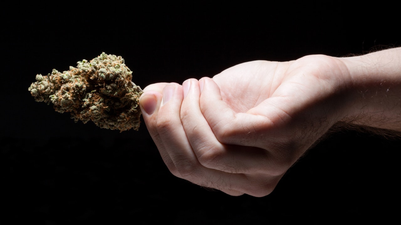 Why Weed Is Growing Wildly