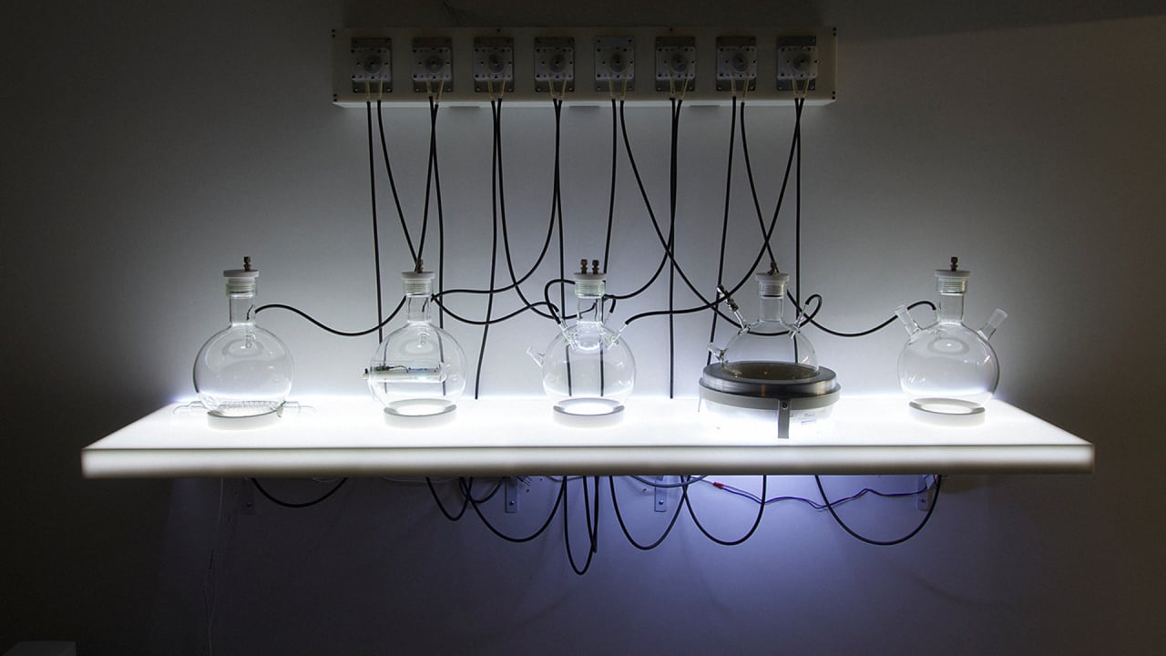 Artist Invents A Machine To Create Life From Scratch