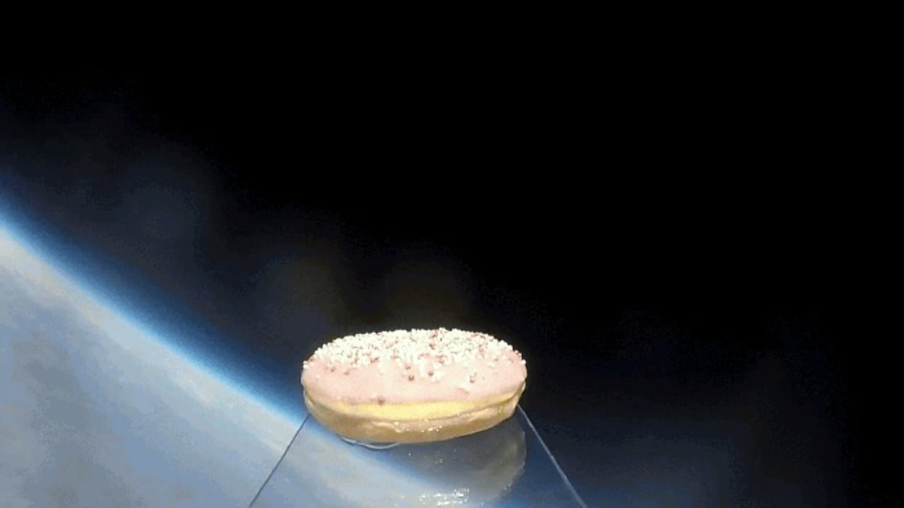 Food in Space: The latest DIY trend Biology Diagrams