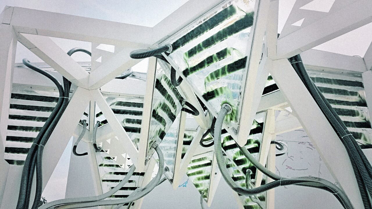 The Future Of Buildings Is Powering Them By Green Gunk