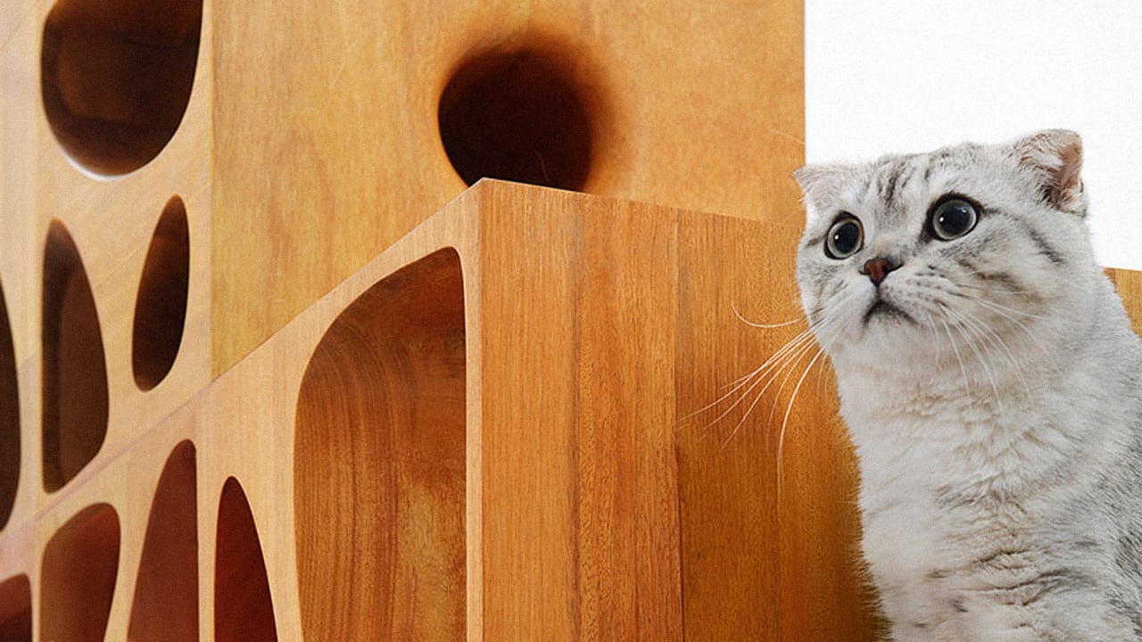 You Don’t Need A Kitty To Love This Modular Cat Cube Playground