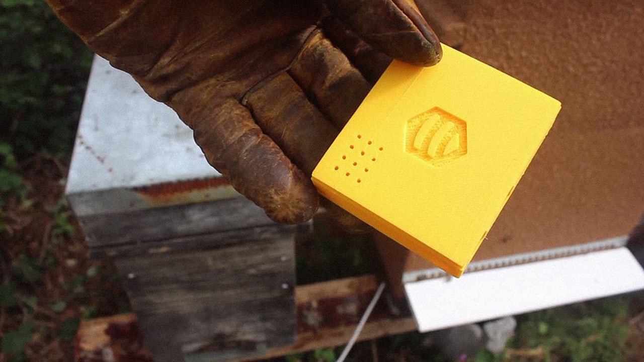To Keep Bees Alive, The Beehive Gets Smart And Connected
