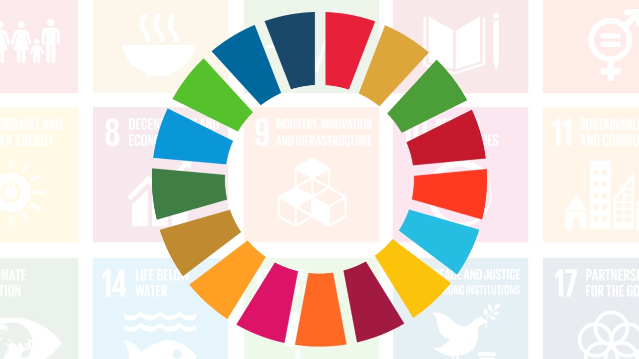 global-goals-logo