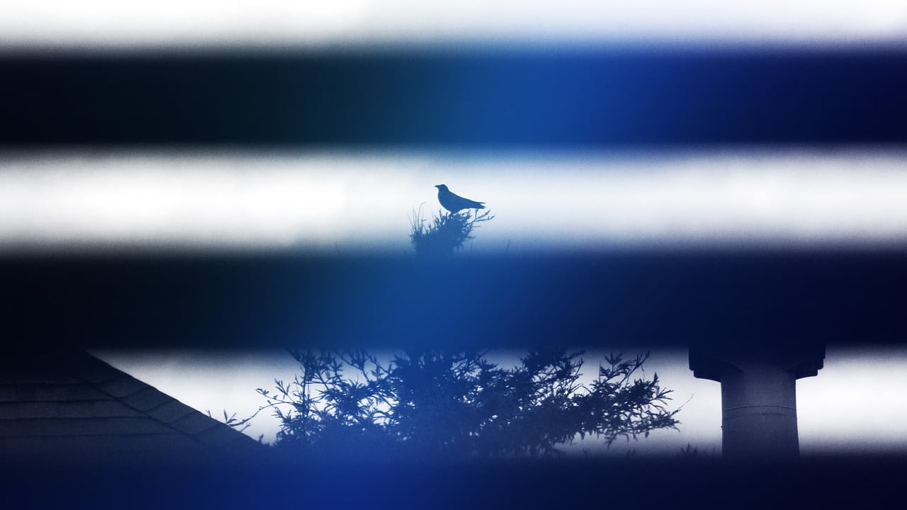 Twitter Engineering SVP Alex Roetter On Diversity: "We Have Blind Spot