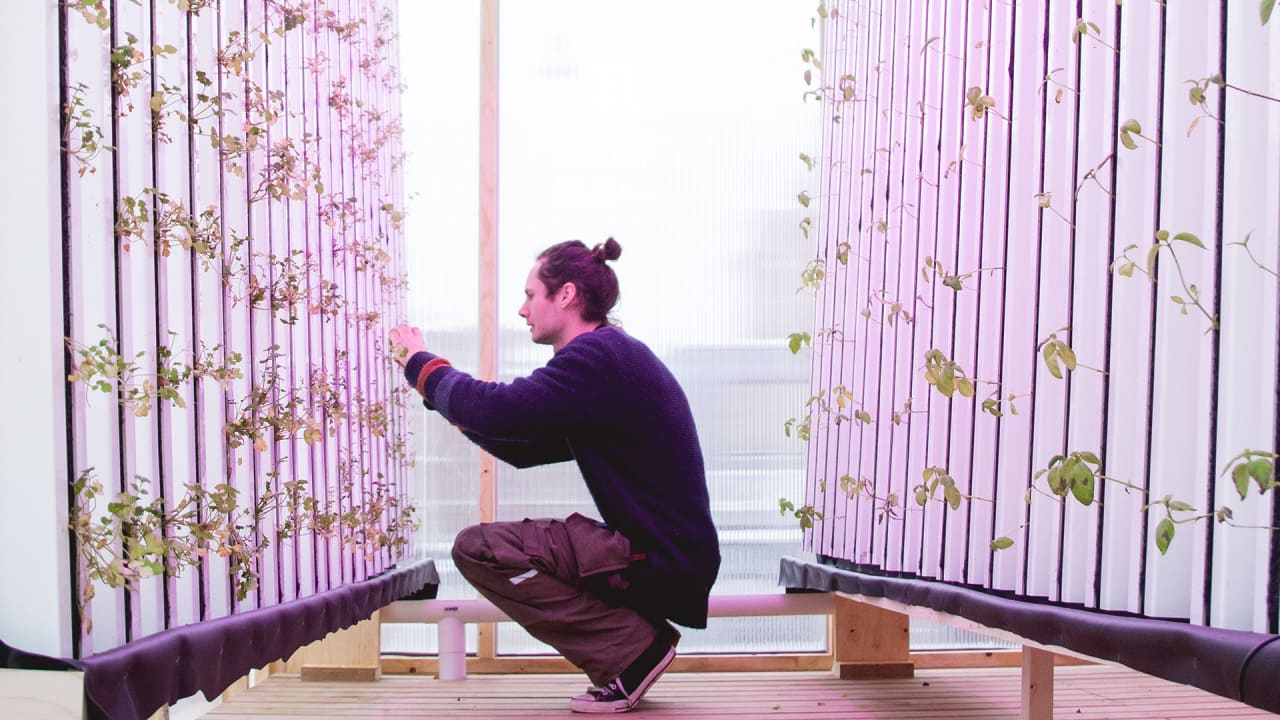This Flatpack 2-Story Farm Is Designed To Pop Up On Empty Lots