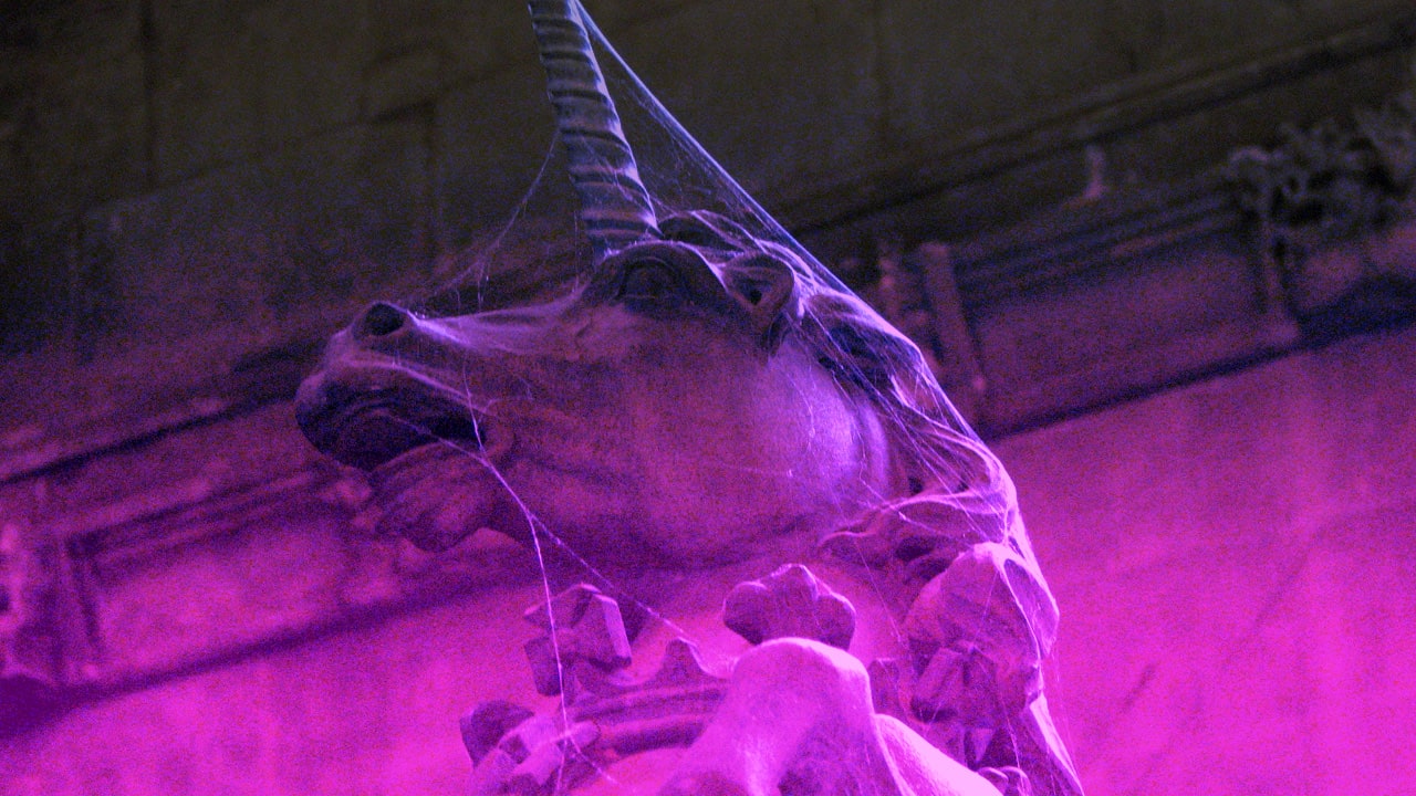 Why It’s Time To Stop Calling Unicorns “Unicorns”