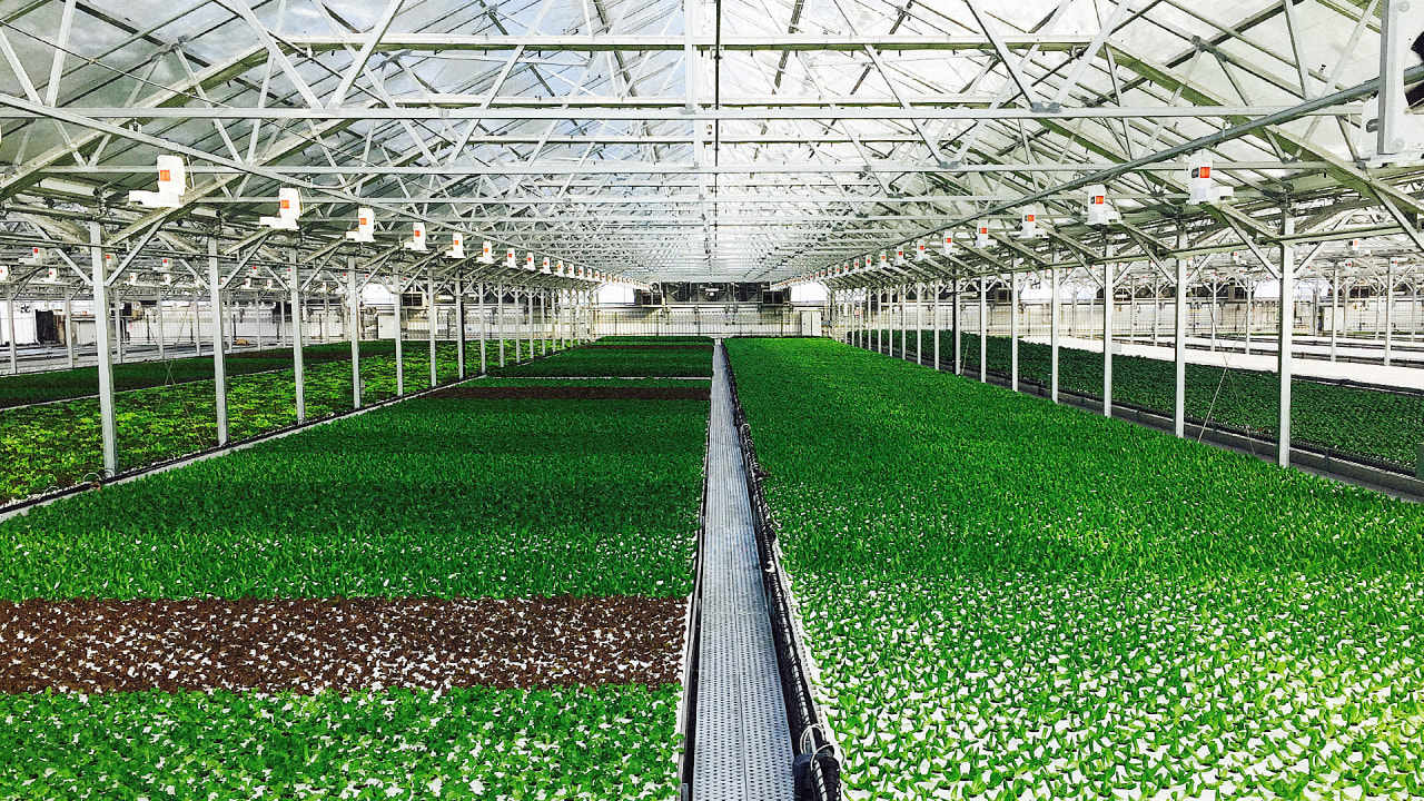 This Is The World’s Largest Rooftop Greenhouse