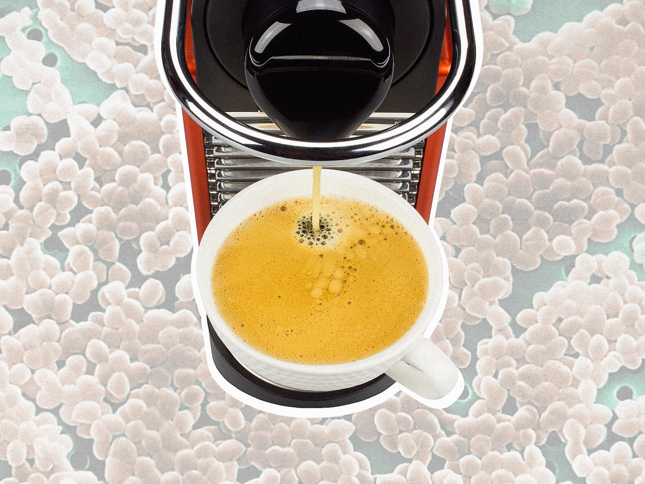 Your Coffee Maker Is A Bacterial Filth Hole