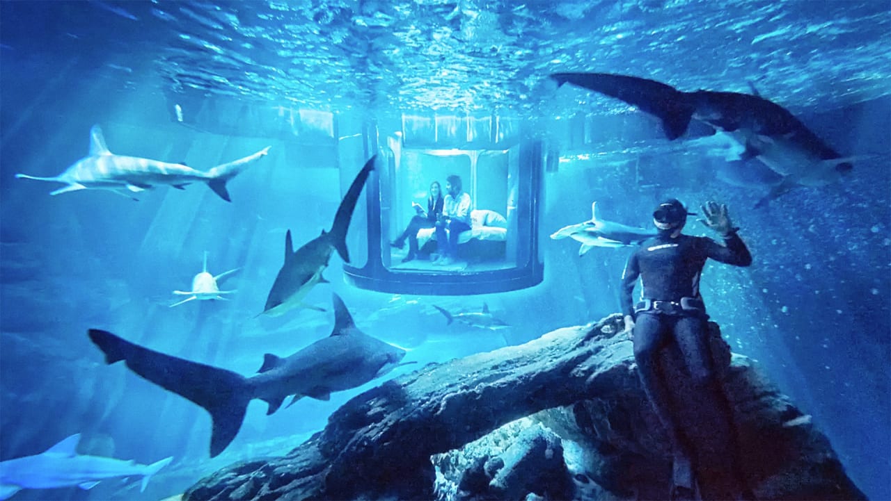 Now You Can Rent An Airbnb That Is Just An Underwater Glass Room Surro