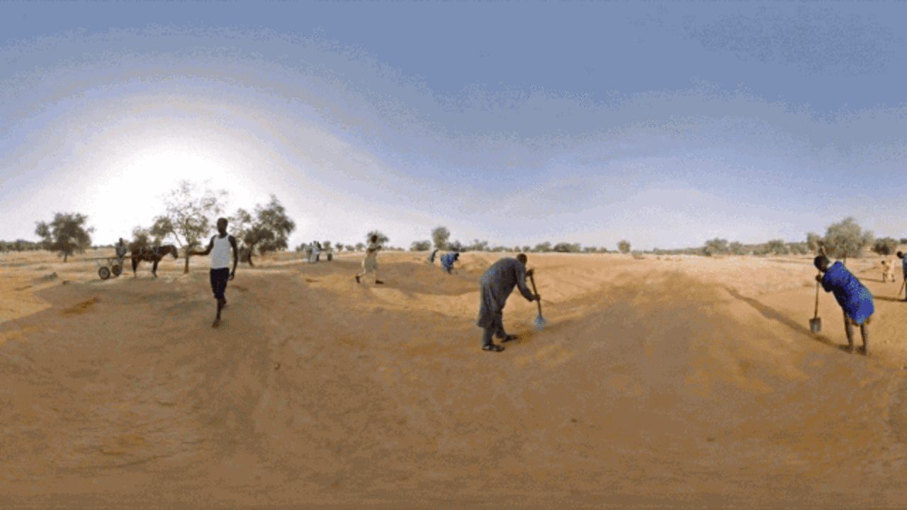 Is The 1 Billion Project To Plant A Wall Of Trees Across Africa A Goo