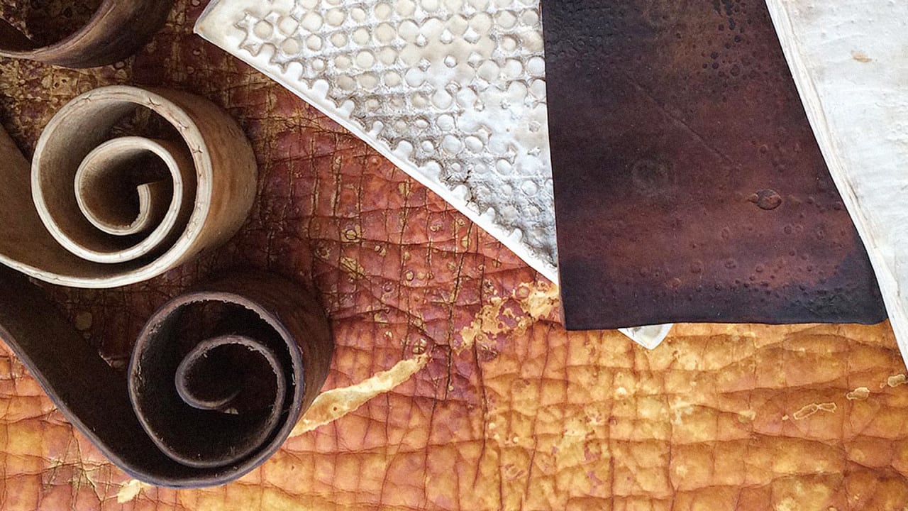 This Beautiful CarbonNeutral “Leather” Is Grown From Mushrooms