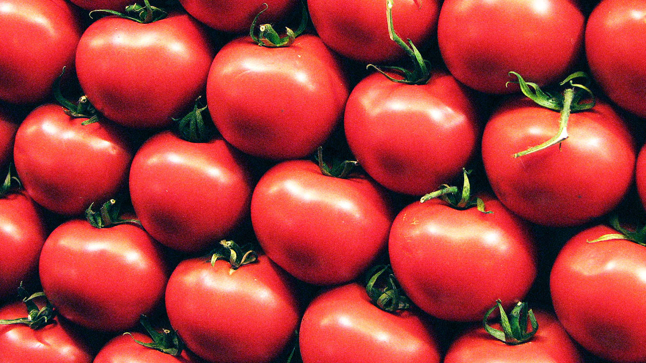 Some tomato. Томат турчанка Айла. Нематодалар помидорда. Помидорда қурт.