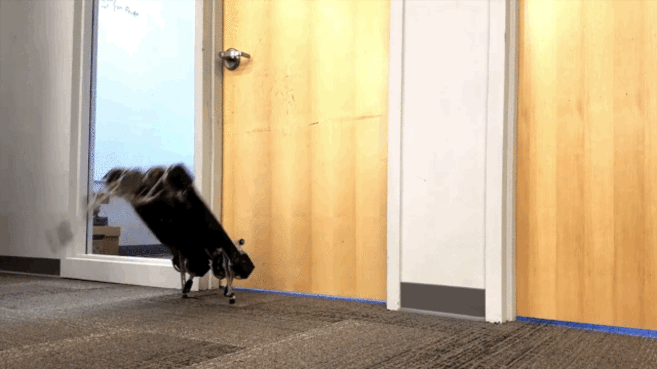 robot dog opens door