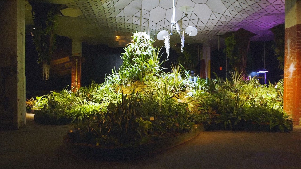 fast plants lab report fast plants lab report
