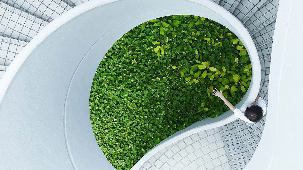 MIT’s Latest Spinach That Can Spot Explosives