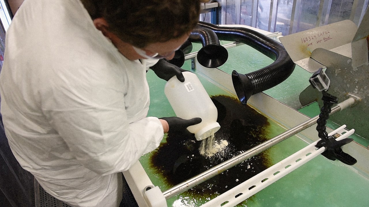 This Special Sawdust Is Designed To Clean Up Oil Spills In The Arctic