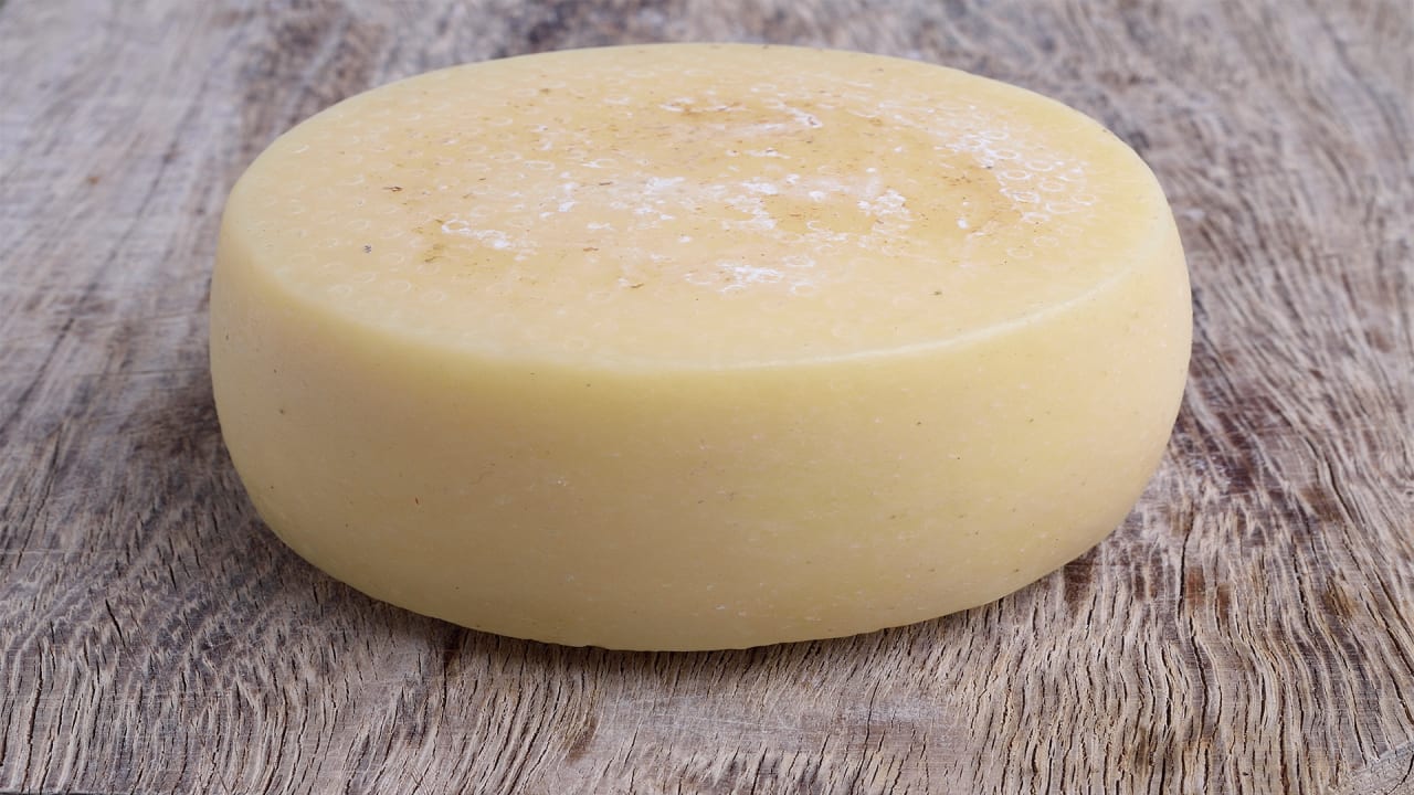 You Can Make Cheese Out Of Human Bacteria, Just In Case You Were Wonde
