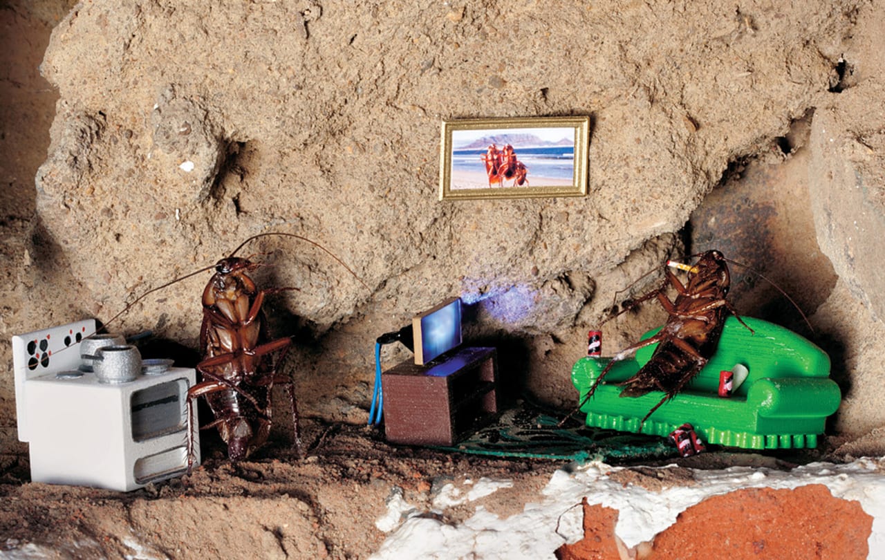 Doom Fogger You to Scenic RoachvillePopulation Eww