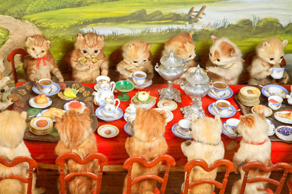 The Insane Victorian Taxidermy Of Walter Potter
