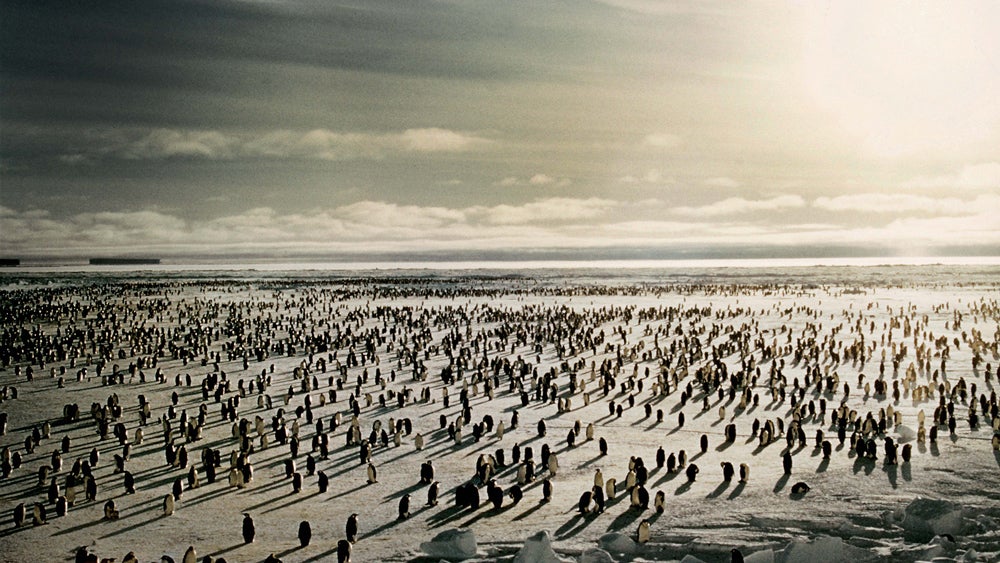 9 Rare Photos Of The First Crossing Of Antarctica