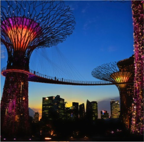 INSIDE SINGAPORE’S GREEN VISION