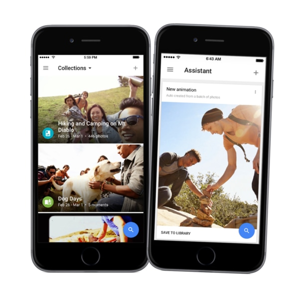 my google photos my google photos