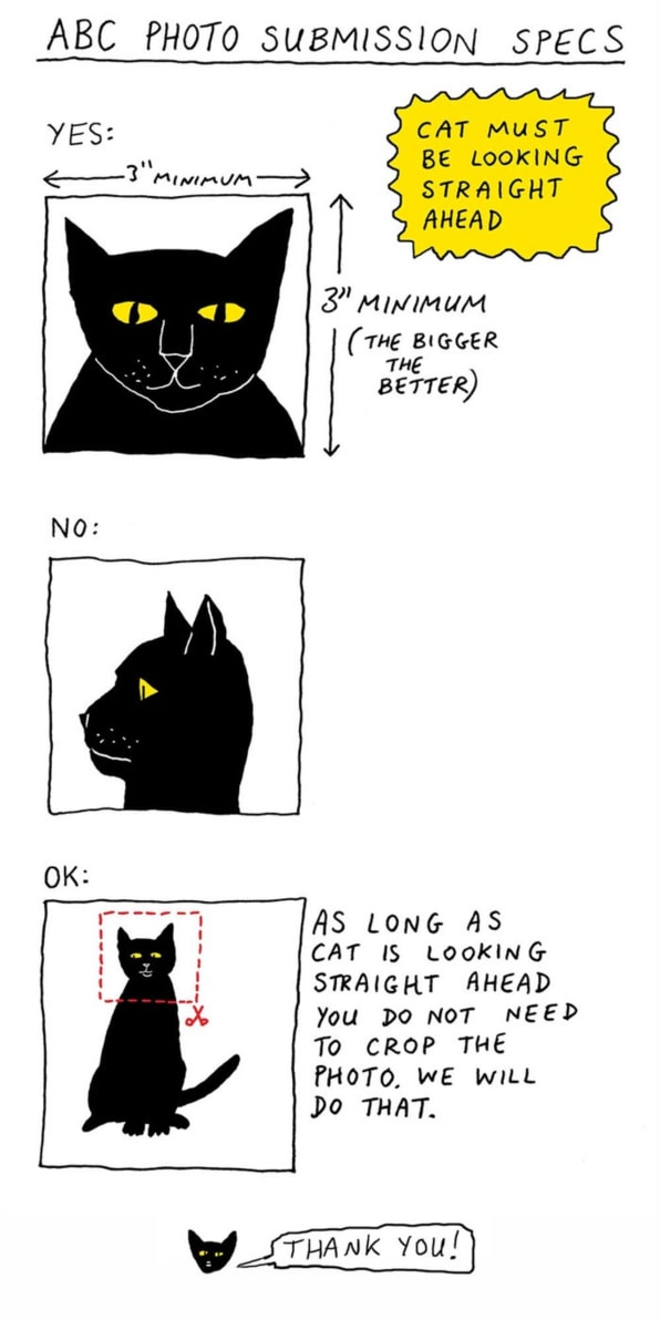 You Cat Book