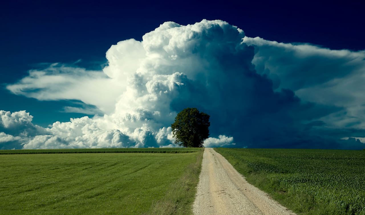 Top Japan Weather Apps: Get The Most Accurate Forecasts in a Country Where Sky Shifts Faster Than Seasons