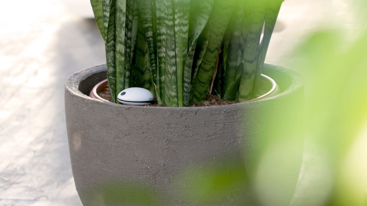 Talk To Your Plants For DummyProof Gardening, Using A Sensor And An i
