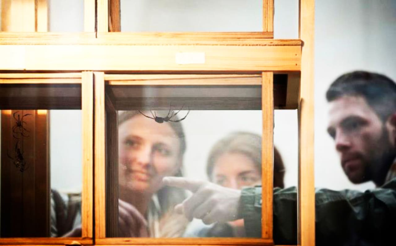 Yes, It’s Real A BioFactory That Farms Spider Silk