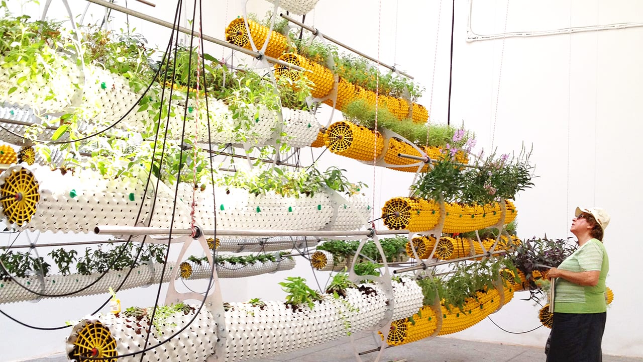 A Hydroponic Vision For The Future Of Architecture