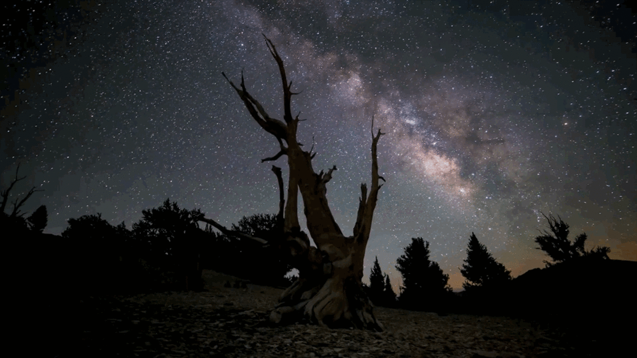 This Epic Time Lapse Video Will Make You Want To Drop Everything And M