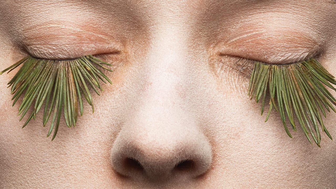 Evergreen Eyelashes Are Nature’s ‘All Natural’ Cosmetic Evergreen Eyelashes Are Nature’s ‘All Natural’ Cosmetic
