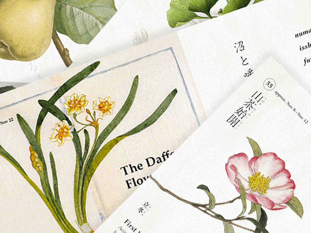 This App Guides You Through All 72 Microseasons In Japan s Traditional