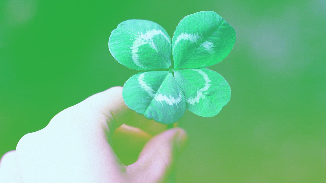 Lucky Picture Lucky Picture