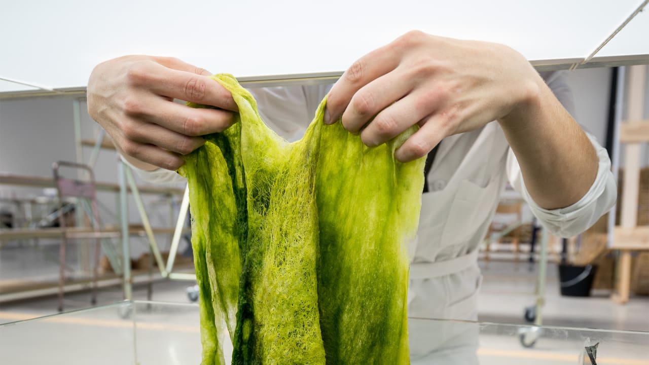 Algae-based plastic packaging was developed to help protect marine life