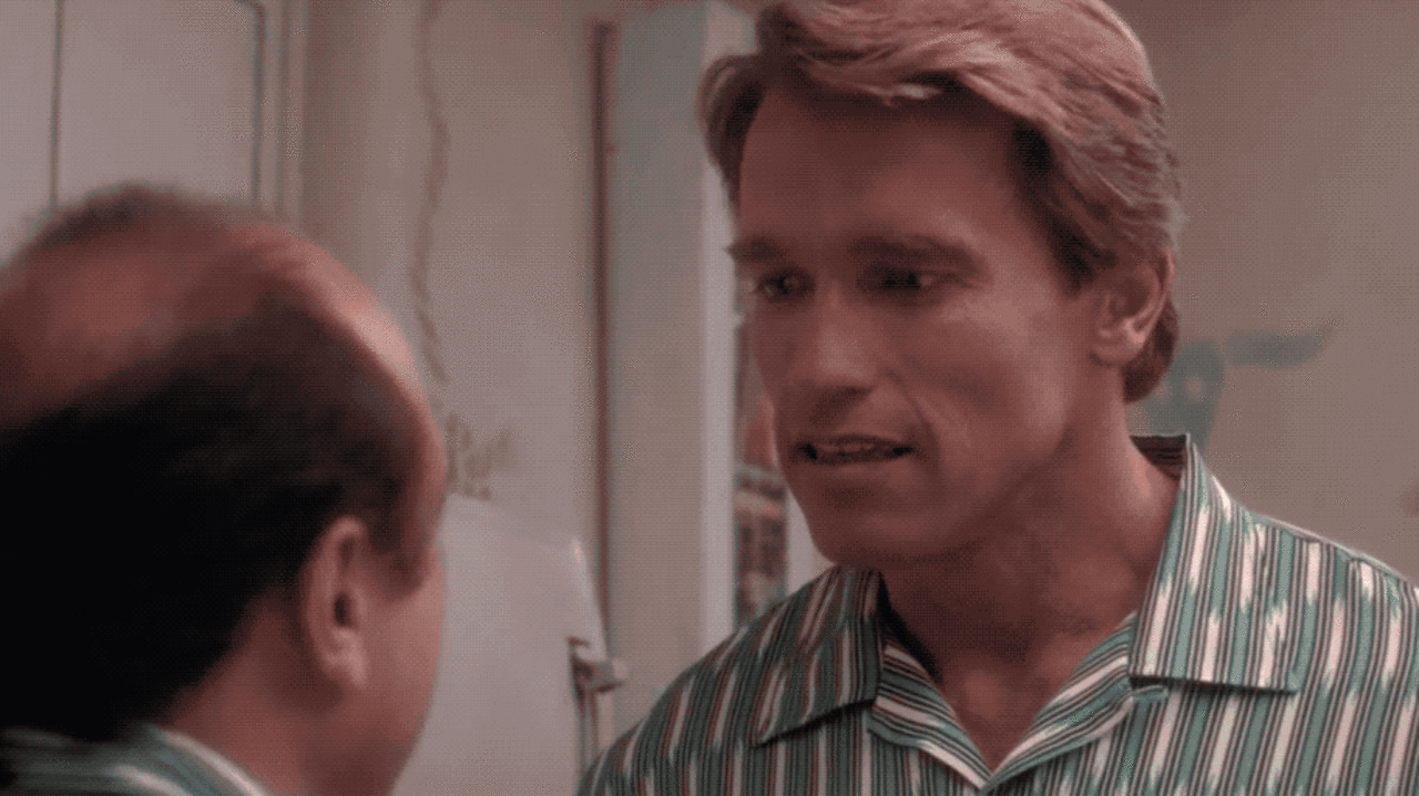 If Call Me By Your Name Starred Arnold Schwarzenegger And Danny Devito