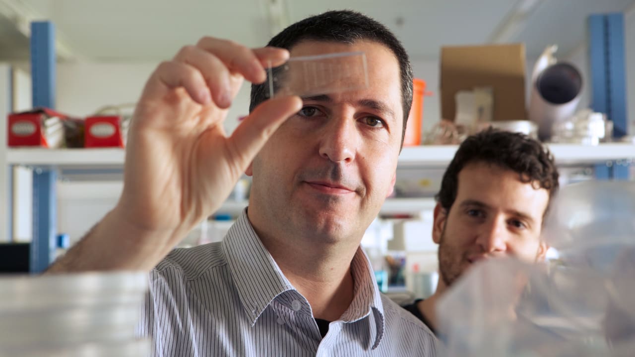 LabGrown Meat Is Getting Cheap Enough For Anyone To Buy