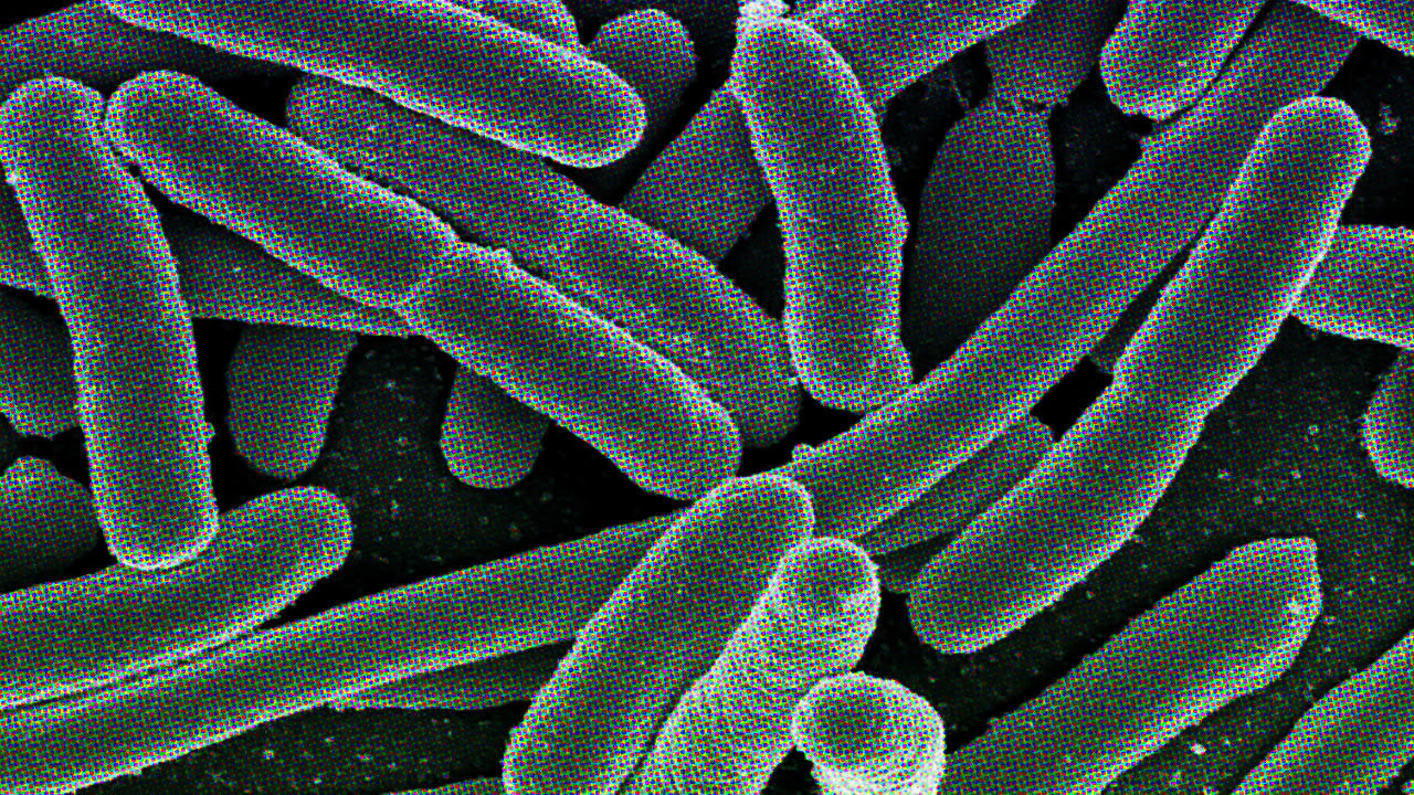 Please send us your poop