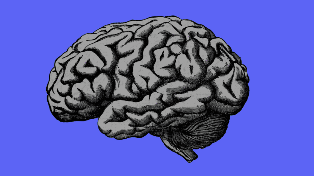 Is Your Language Shaping Your Reality The Shocking Truth - 96t7tui