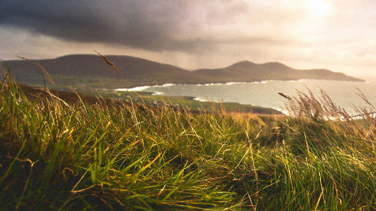 Ireland Is About To Become The First Country In The World To Divest From Fossil Fuels