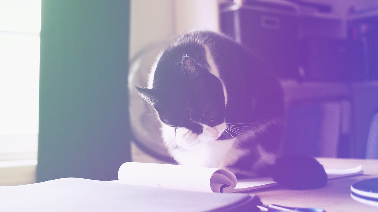 A Mind Controlling Parasite Found In Cat Poo Can Make You An Entrepren