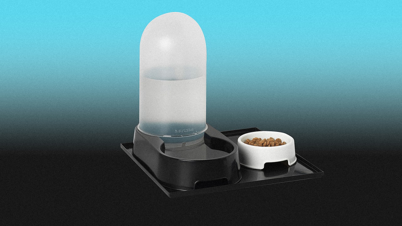 Ikea recalls its new pet water fountain after two dogs die