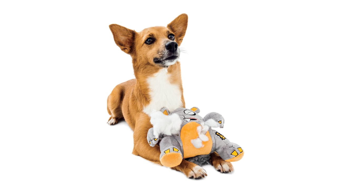 Barkbox best sale premium toy