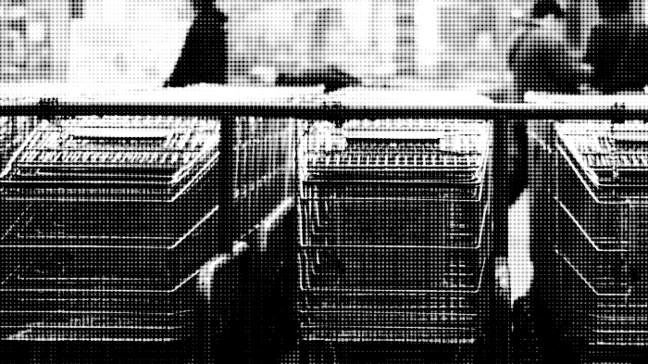 Costco now takes Apple Pay for your needs