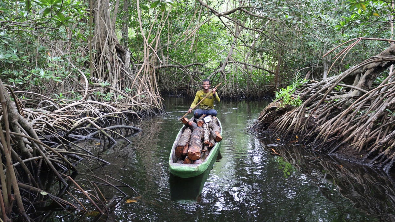 Sundarban Tourism