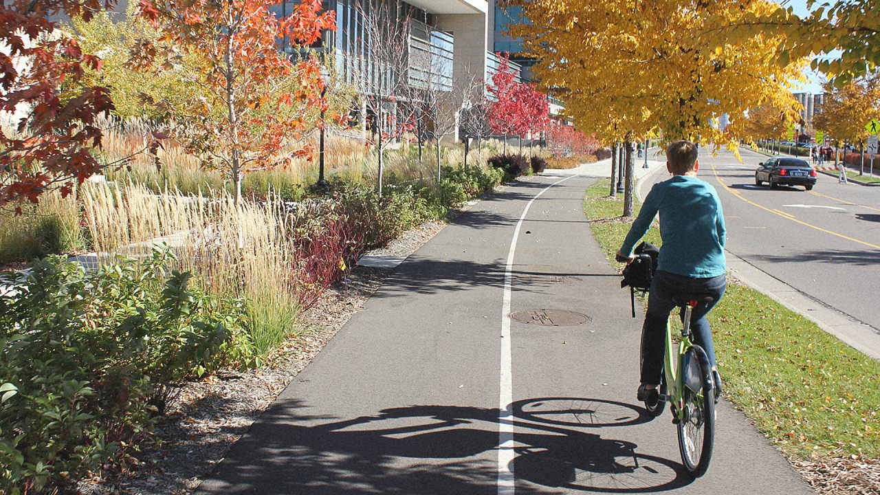 A Harvard Study Finds A Better Way To Design Bike Lanes
