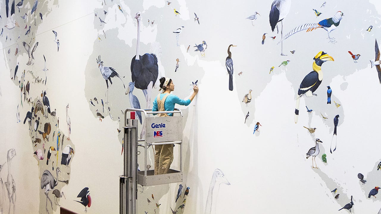 The Wall of Birds by Jane Kim at Cornell Lab of Ornithology