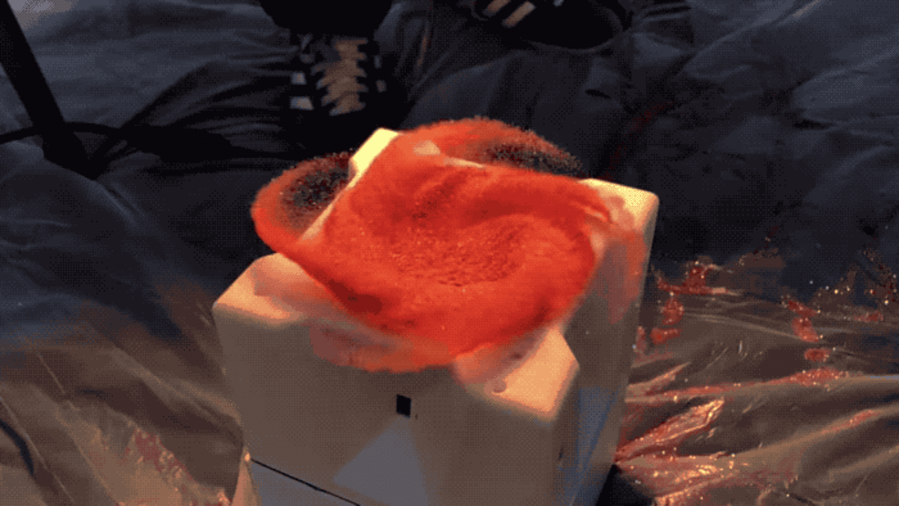 NASA engineer Mark Rober builds Amazon thief glitter bomb trap