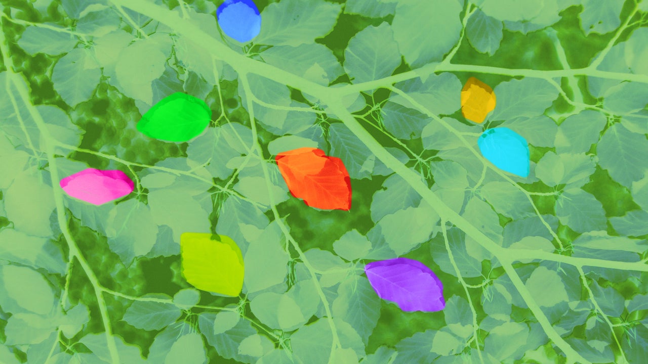 Diversity Is The Responsibility Of The Ceo And Hiring Manager